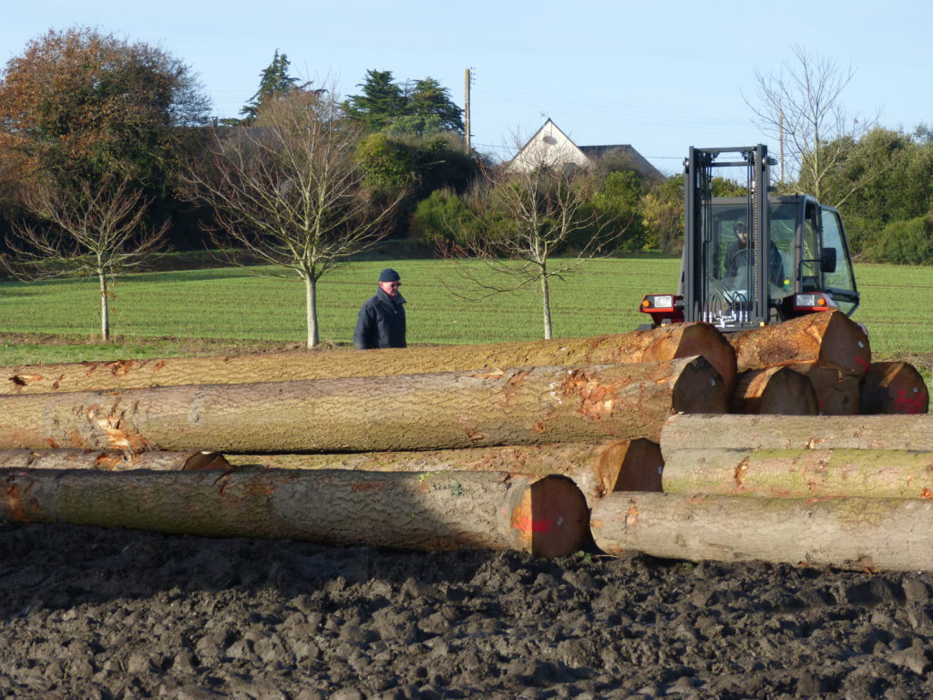 Scierie Léon Eric S3 Julien Colas 78
